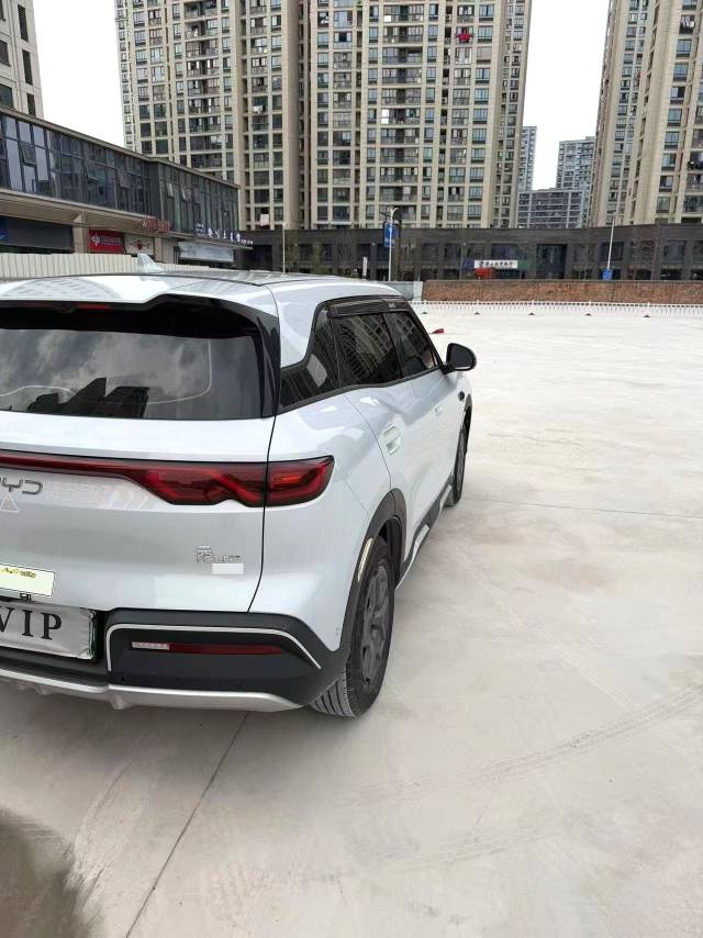 BYD UP 401KM Vitality