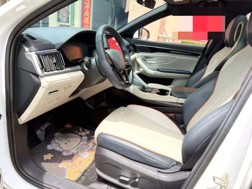 BYD PLUS New Energy Electric Vehicle 520KM Premium