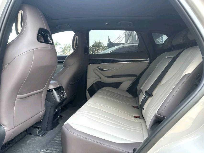 BYD PLUS — электромобиль на альтернативном топливе с запасом хода 520 км, люкс-класс