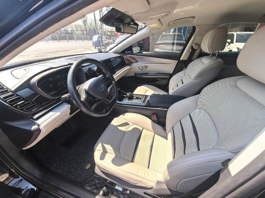 BYD e 9