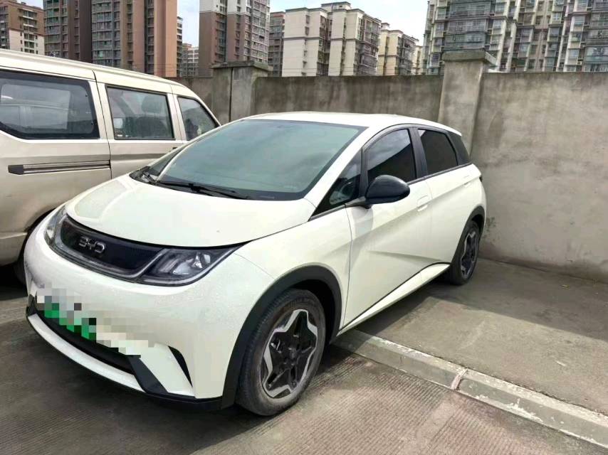 BYD 420km Vitality