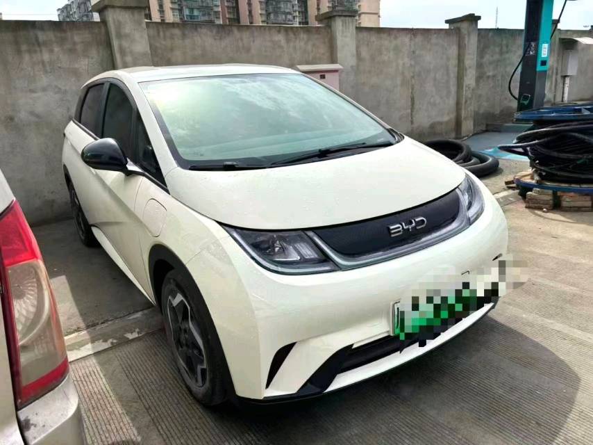 BYD 420km Vitality