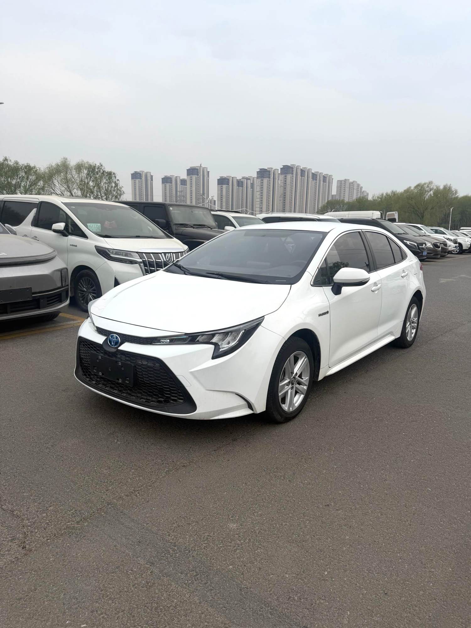 雷凌 车型年 双擎 1.8H E CVT 进取版