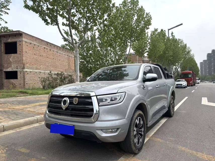 炮 Model Year 2.0T 自动汽油两驱舒适版 GW 4C 20B