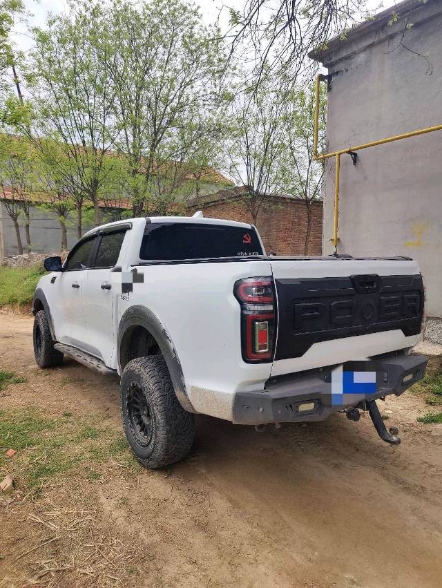 炮 Model Year 2.0T 自动汽油四驱尊享版 GW 4C 20B