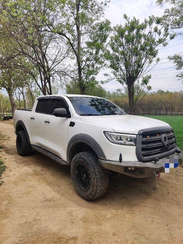 炮 Model Year 2.0T 自动汽油四驱尊享版 GW 4C 20B