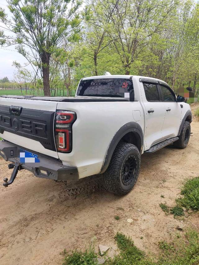 炮 Model Year 2.0T 自动汽油四驱尊享版 GW 4C 20B