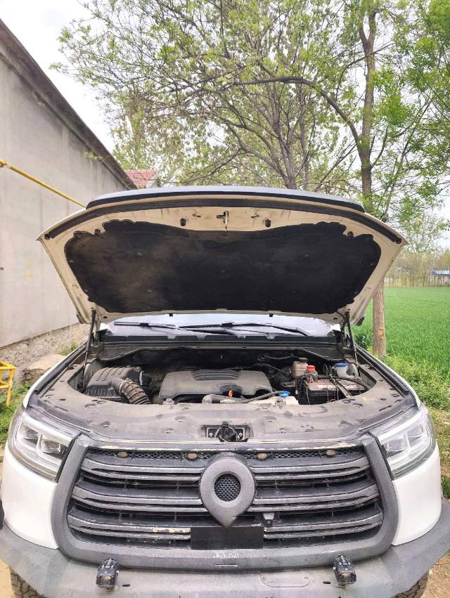 炮 Model Year 2.0T 自动汽油四驱尊享版 GW 4C 20B