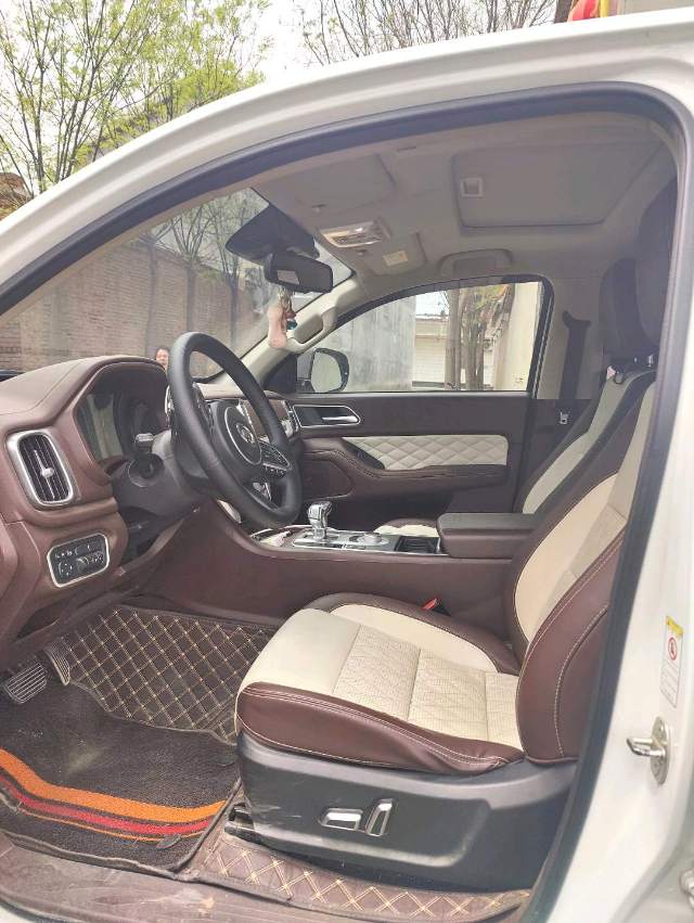 炮 Model Year 2.0T 自动汽油四驱尊享版 GW 4C 20B