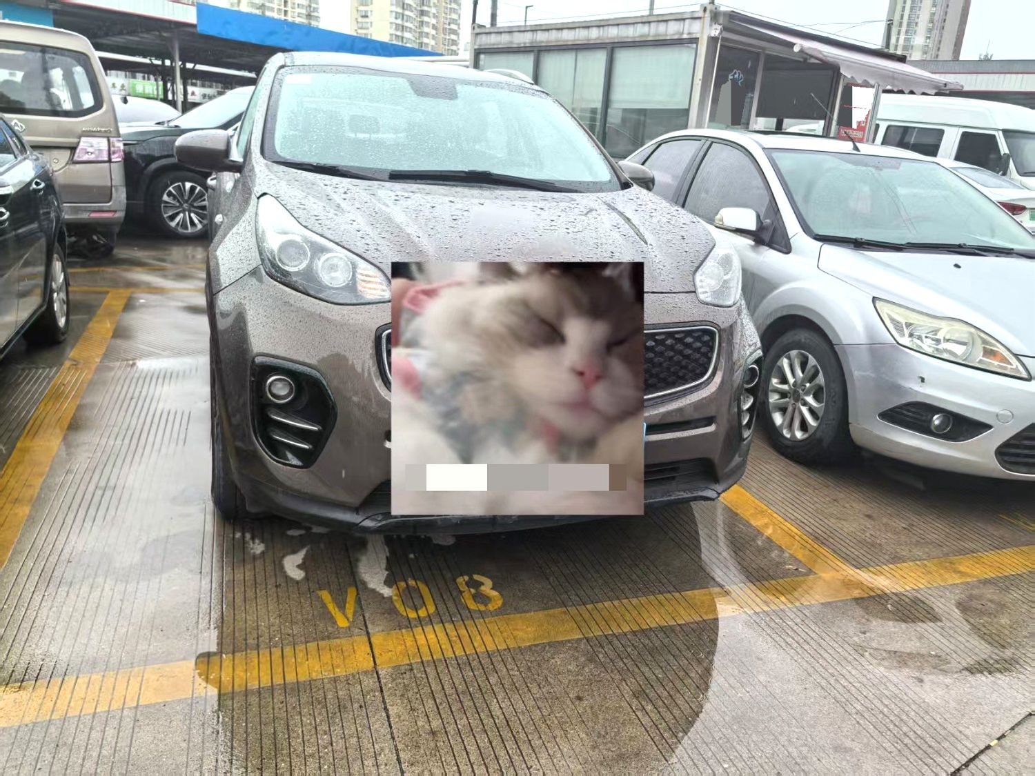 Kia KX 5 Model Year 1.6T 自动两驱 GL