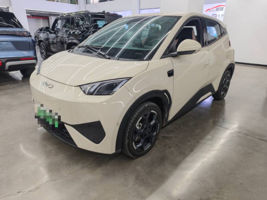 BYD 305km