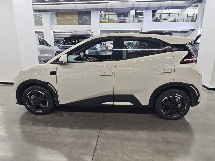 BYD 305km