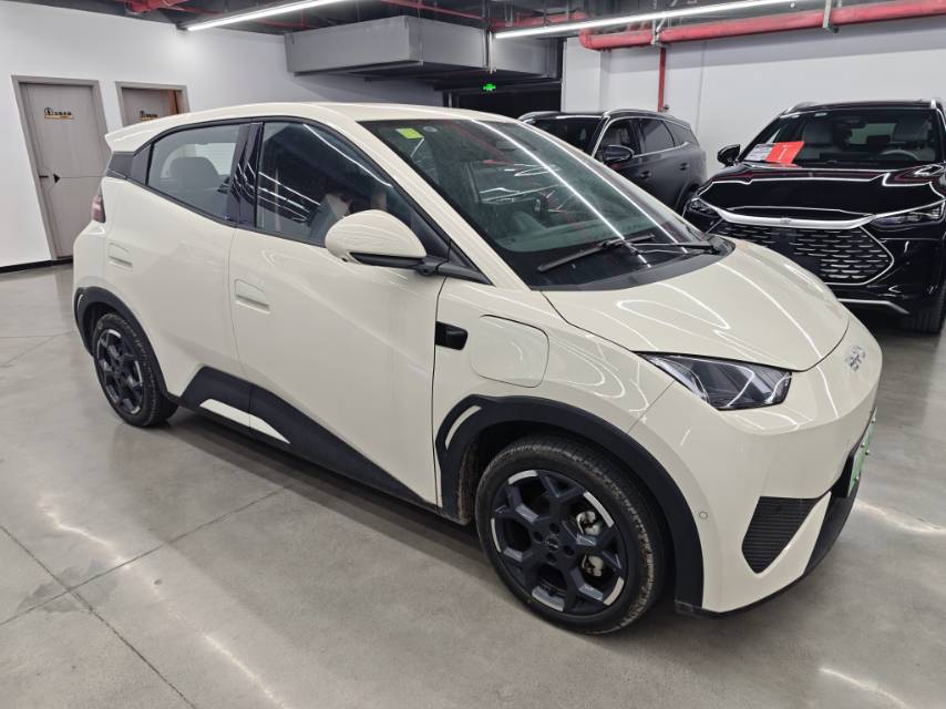 BYD 305km