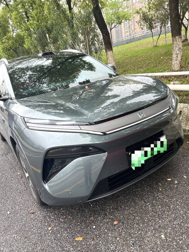 唐 L (Liter) Model Year DM 200KM 四驱激光雷达旗舰型