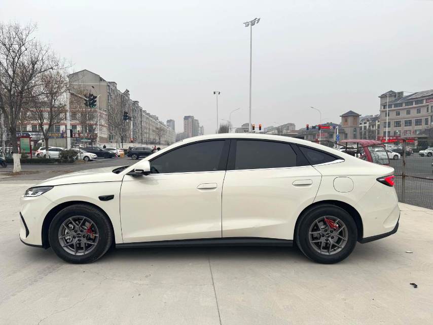 海豹 06 New Energy Model Year DM i 120KM Flagship