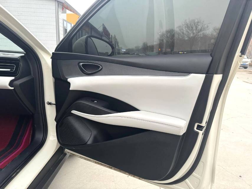 海豹 06 New Energy Model Year DM i 120KM Flagship