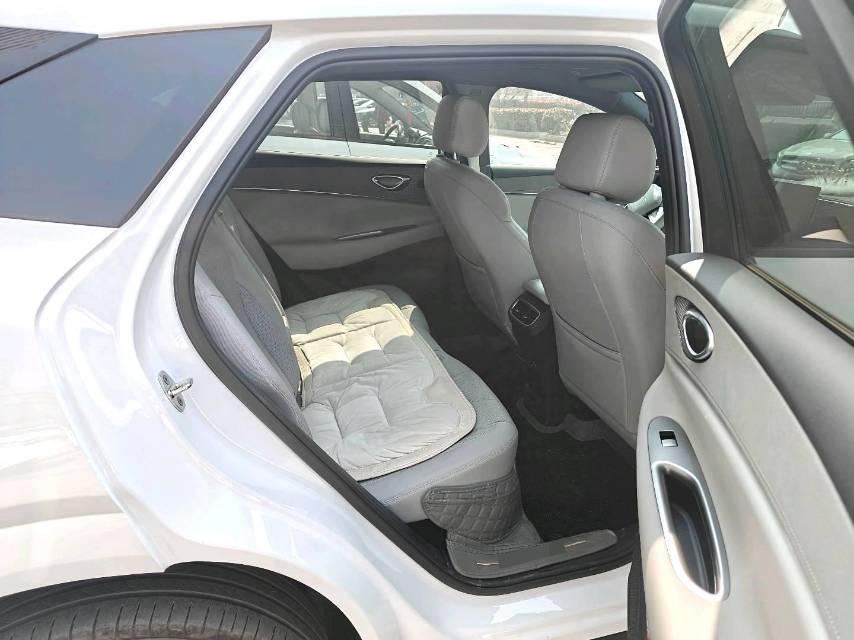 海狮 06 New Energy Model Year Electric Vehicle 605 领航 Pro Version