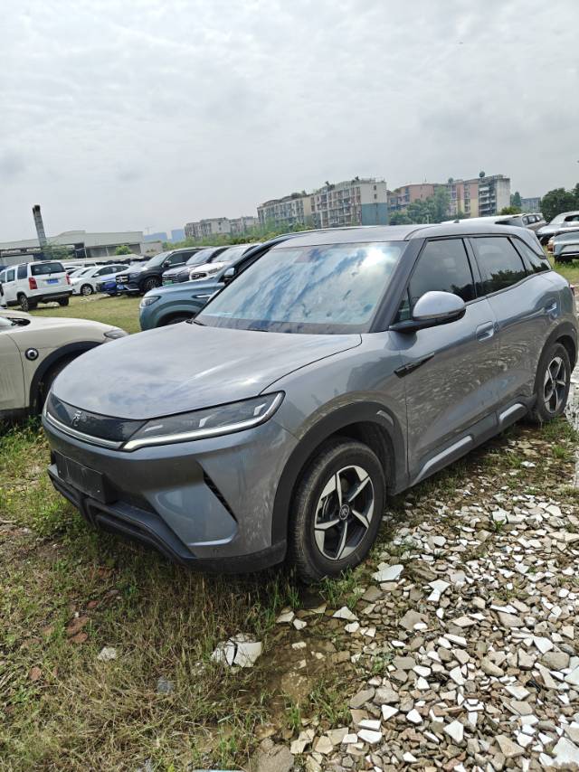 BYD UP 401KM Advanced