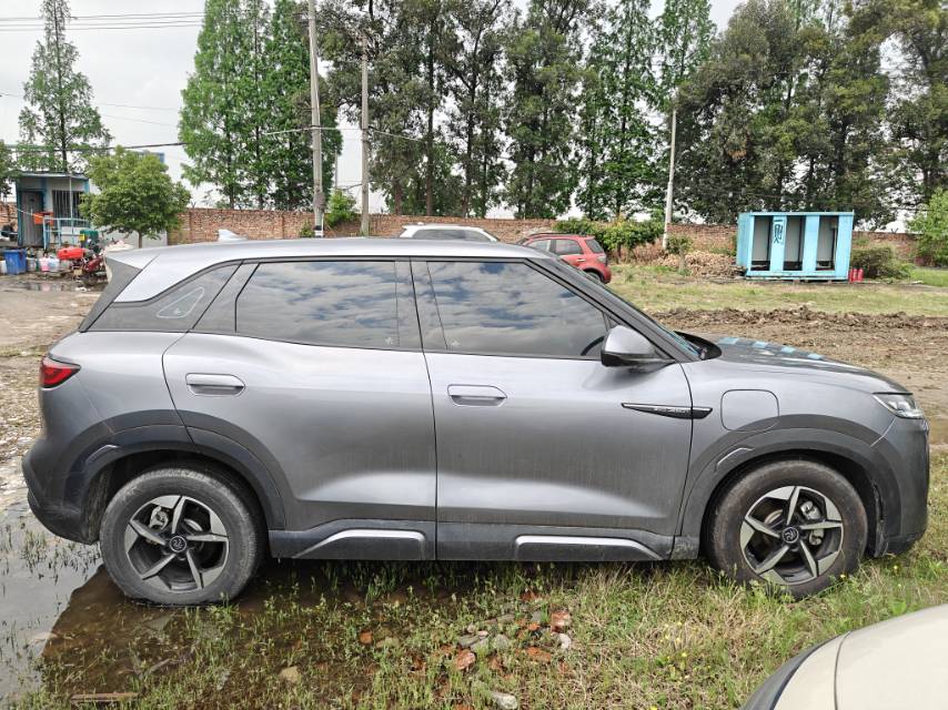 BYD UP 401KM Advanced