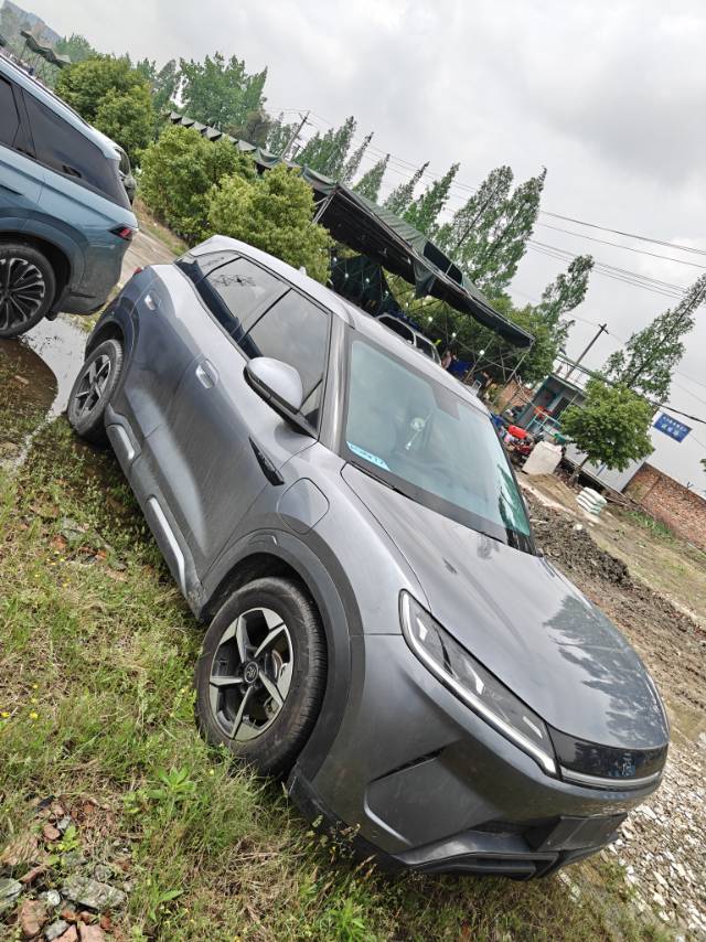 BYD UP 401KM Advanced