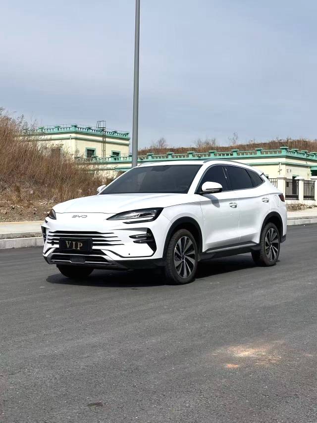 BYD PLUS New Energy DM i 71km Luxury