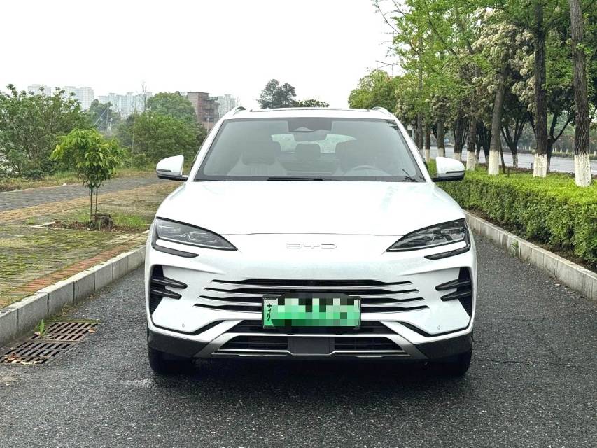 宋 PLUS New Energy Model Year 荣耀版 DM i 110km 旗舰 PLUS