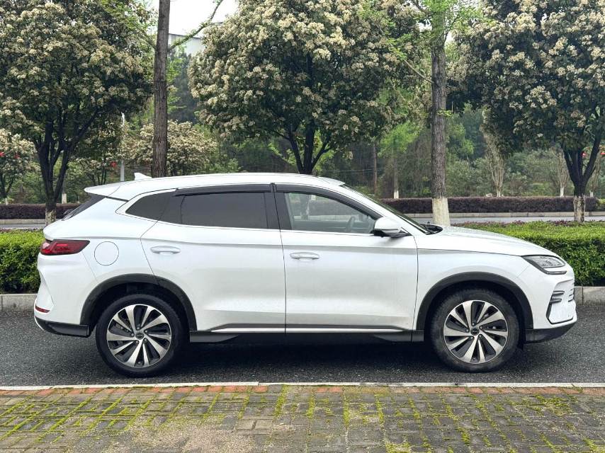 宋 PLUS New Energy Model Year 荣耀版 DM i 110km 旗舰 PLUS