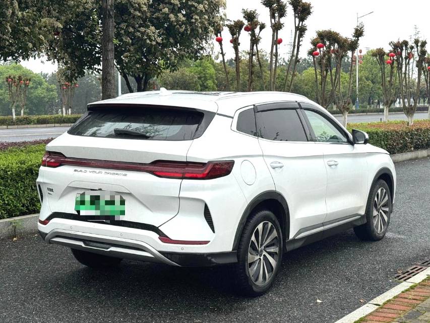 宋 PLUS New Energy Model Year 荣耀版 DM i 110km 旗舰 PLUS
