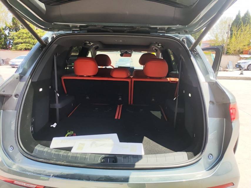 BYD L (Liter) DM 175KM