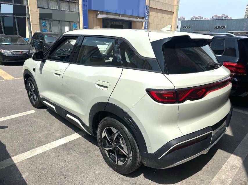 BYD UP 401KM Advanced