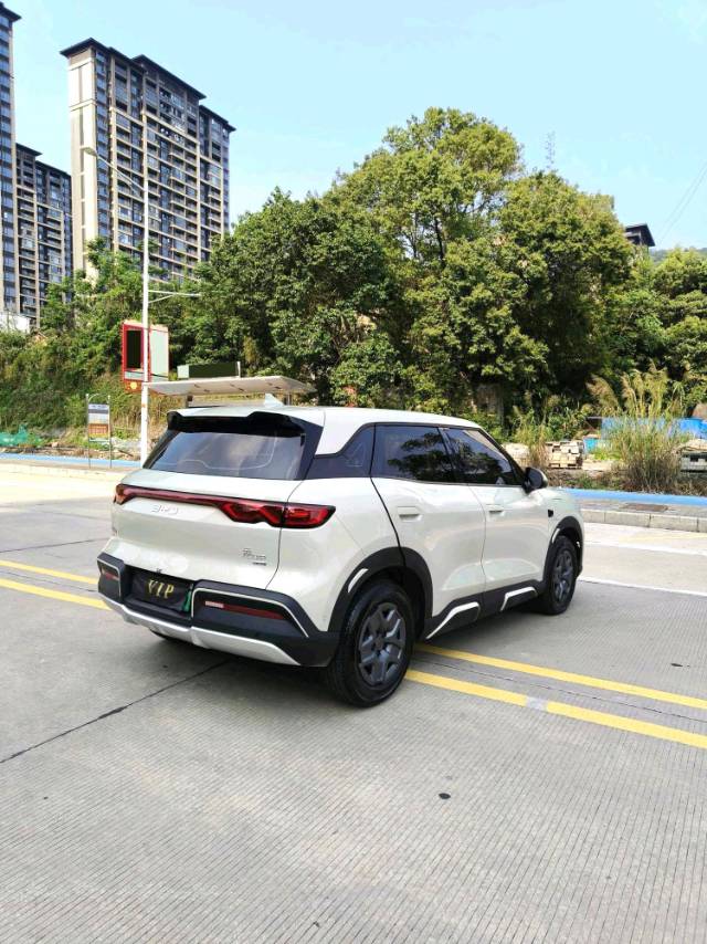 BYD UP 401KM Advanced