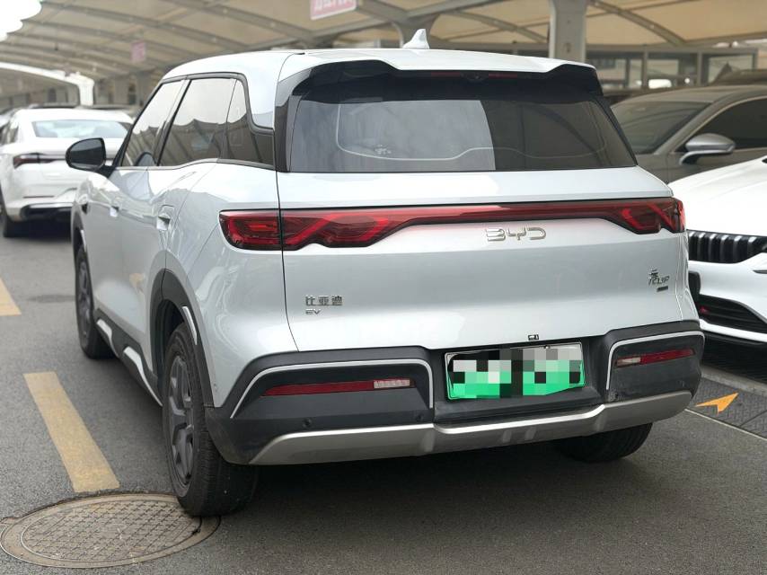 BYD UP 401KM Vitality