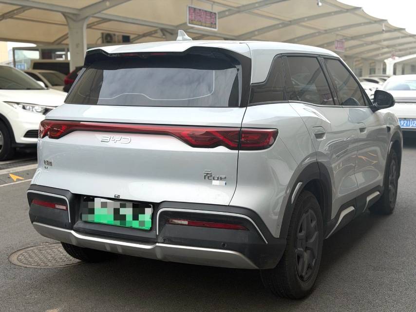BYD UP 401KM Vitality