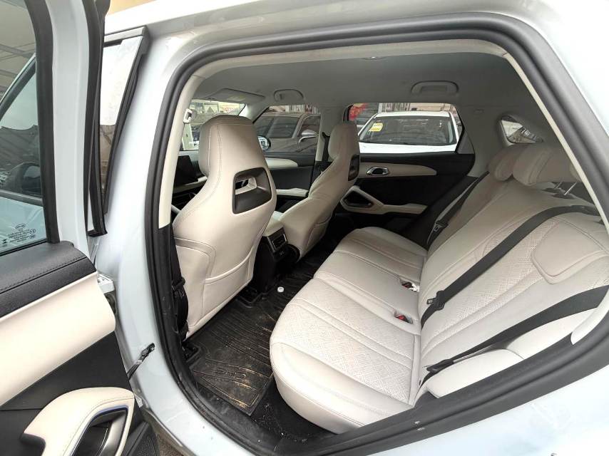 BYD UP 401KM Vitality