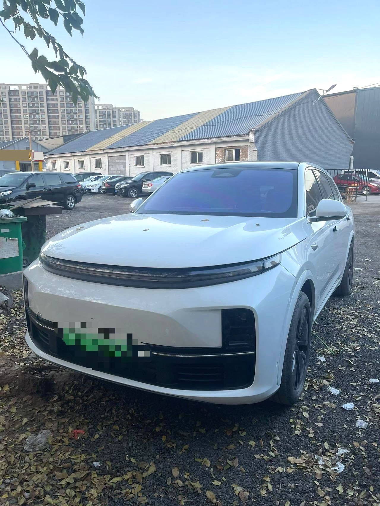 Li Auto L (Liter) 7 Pro