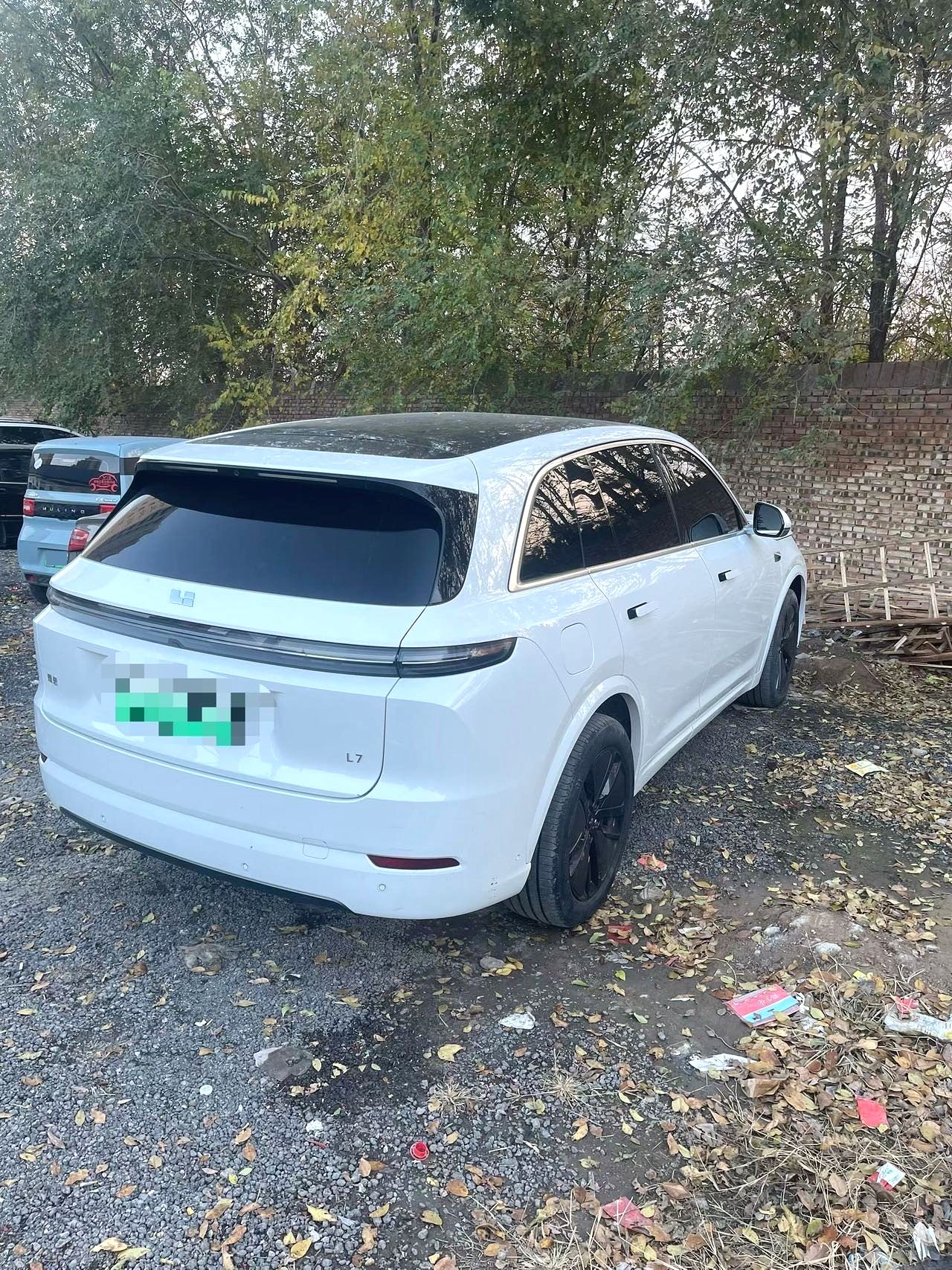 Li Auto L (Liter) 7 Pro