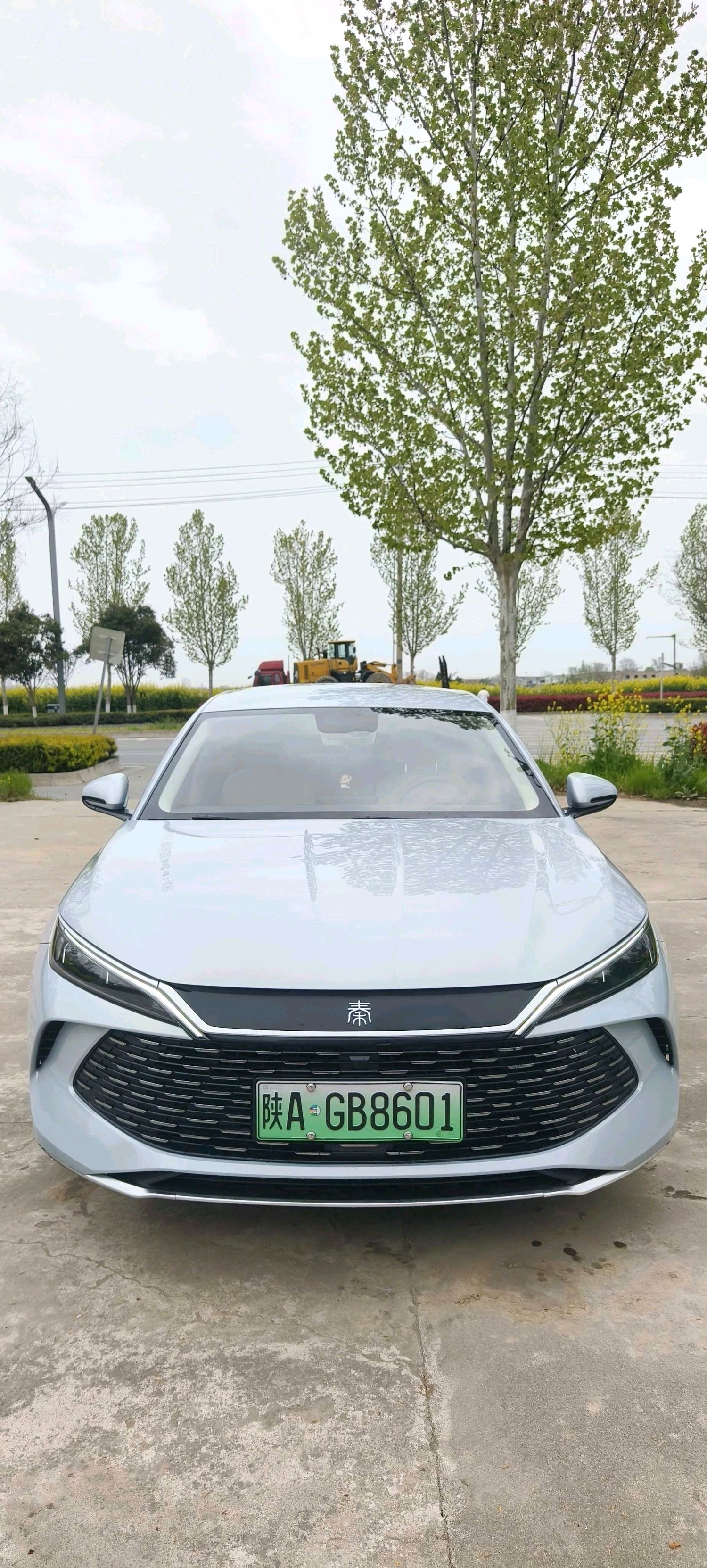 BYD L (литр) DM i 80 км, усовершенствованная версия
