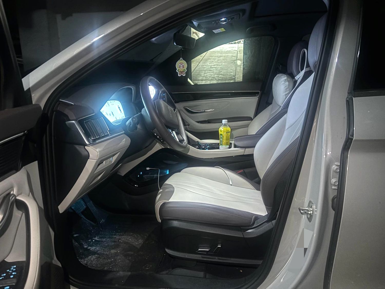 BYD PLUS — электромобиль на альтернативном топливе с запасом хода 520 км, люкс-класс
