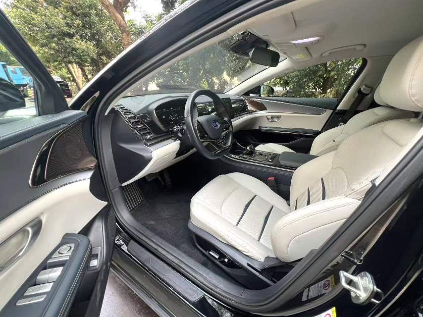 BYD e 9