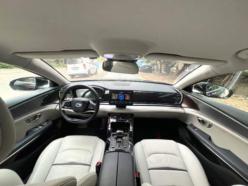 BYD e 9