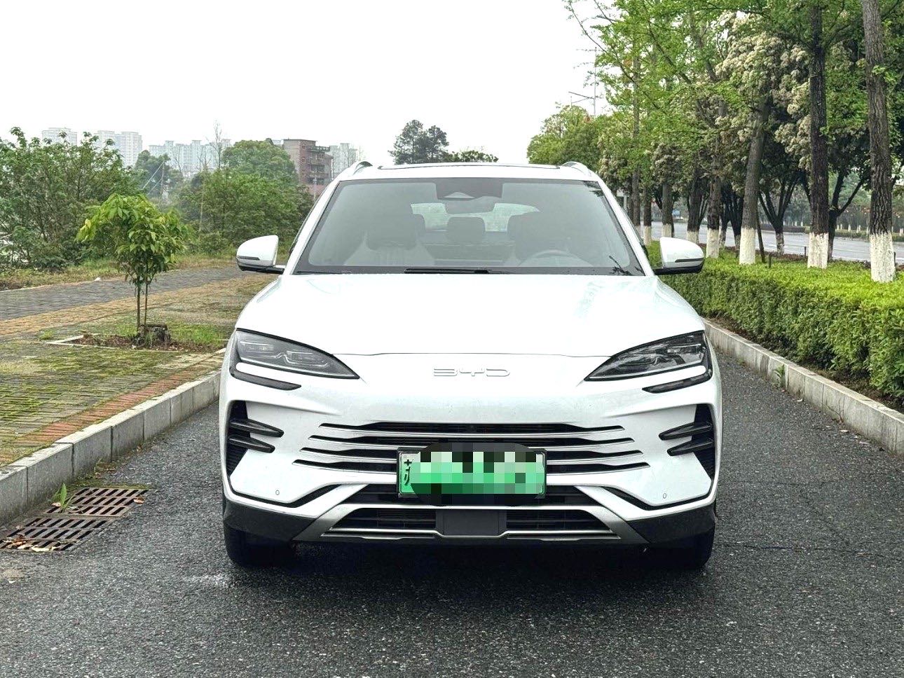 宋 PLUS New Energy Model Year 荣耀版 DM i 110km 旗舰 PLUS