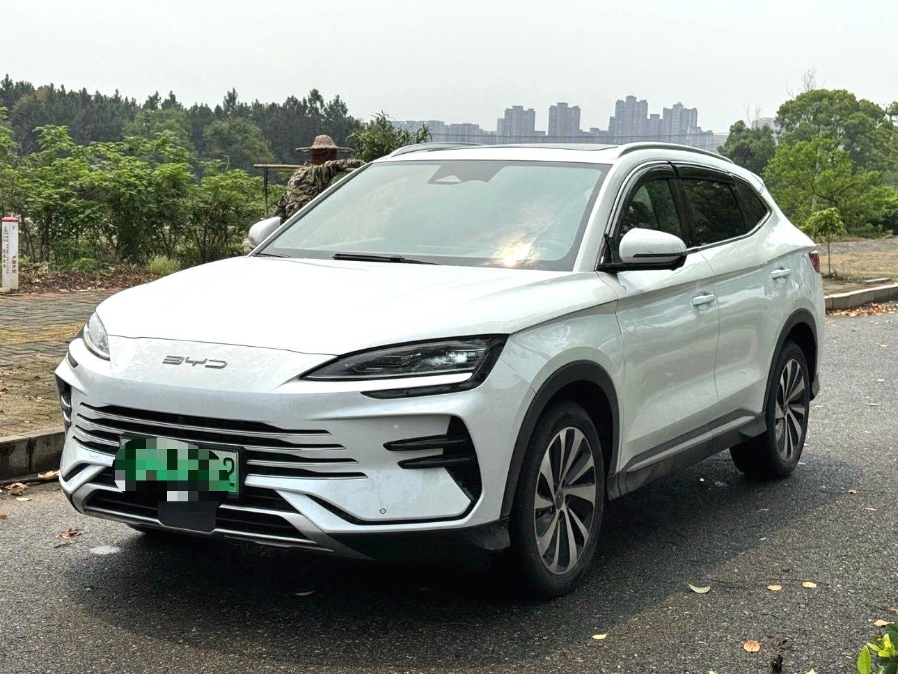 宋 PLUS New Energy Model Year 荣耀版 DM i 110km 旗舰 PLUS
