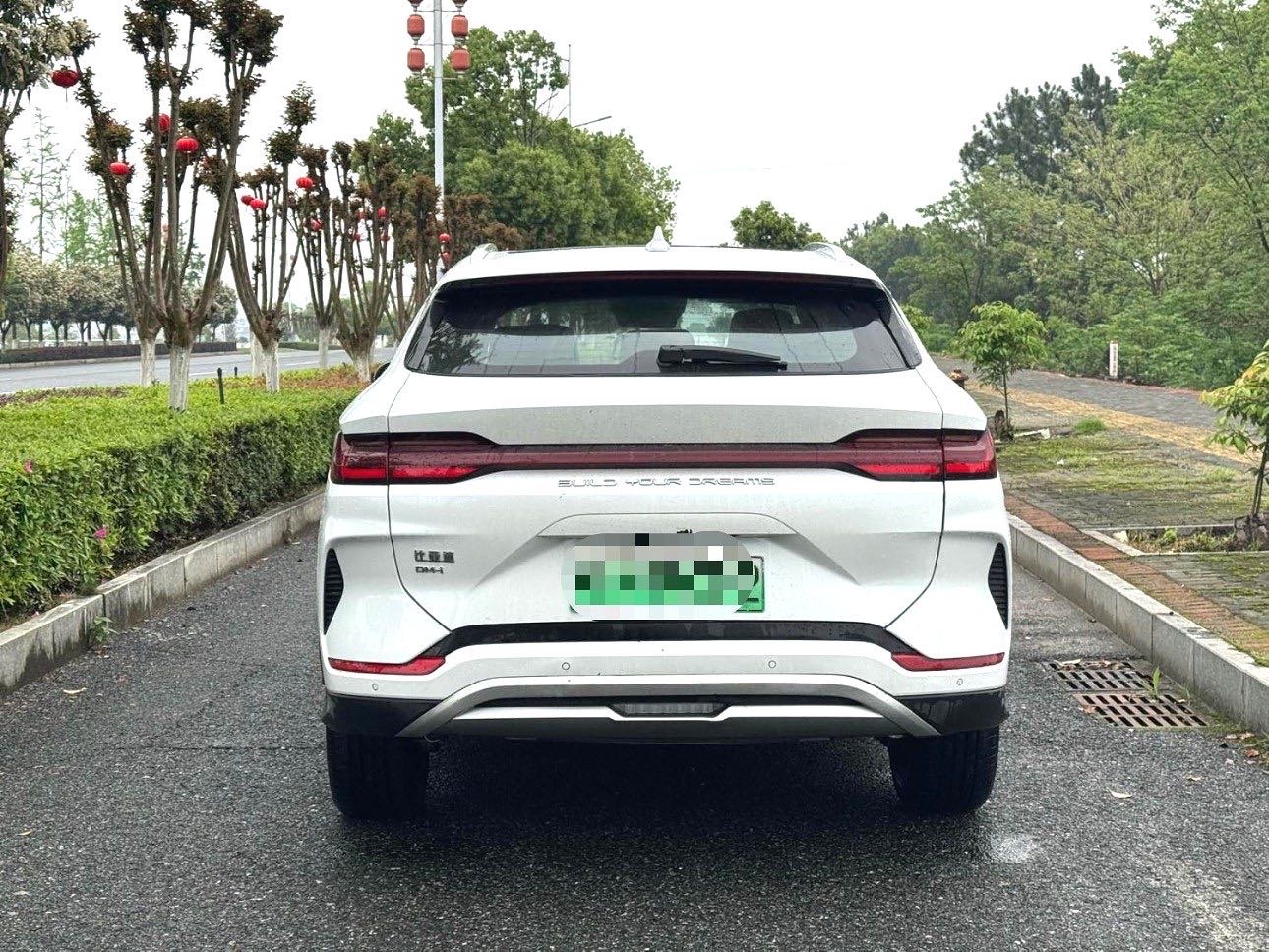 宋 PLUS New Energy Model Year 荣耀版 DM i 110km 旗舰 PLUS