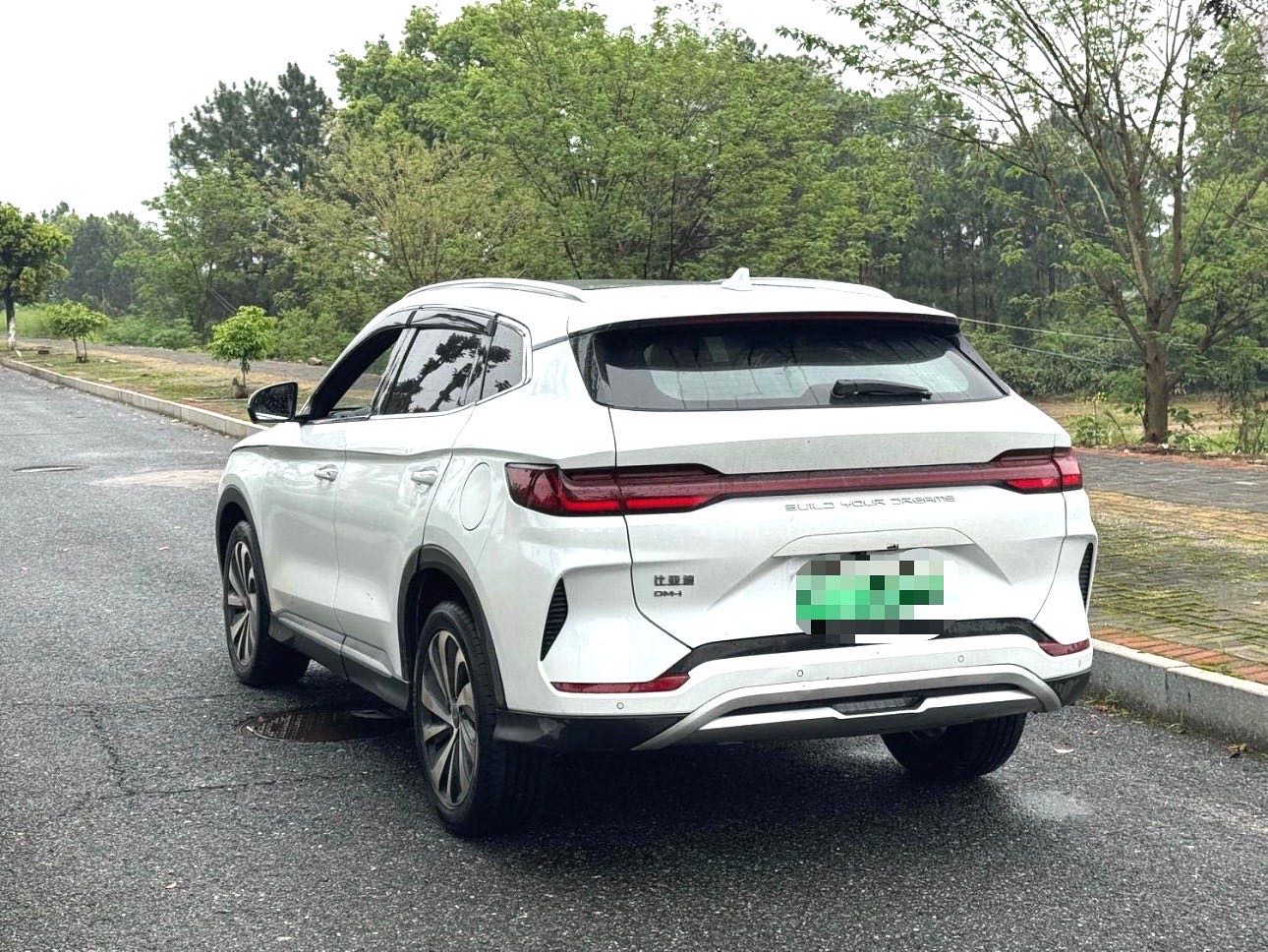 宋 PLUS New Energy Model Year 荣耀版 DM i 110km 旗舰 PLUS