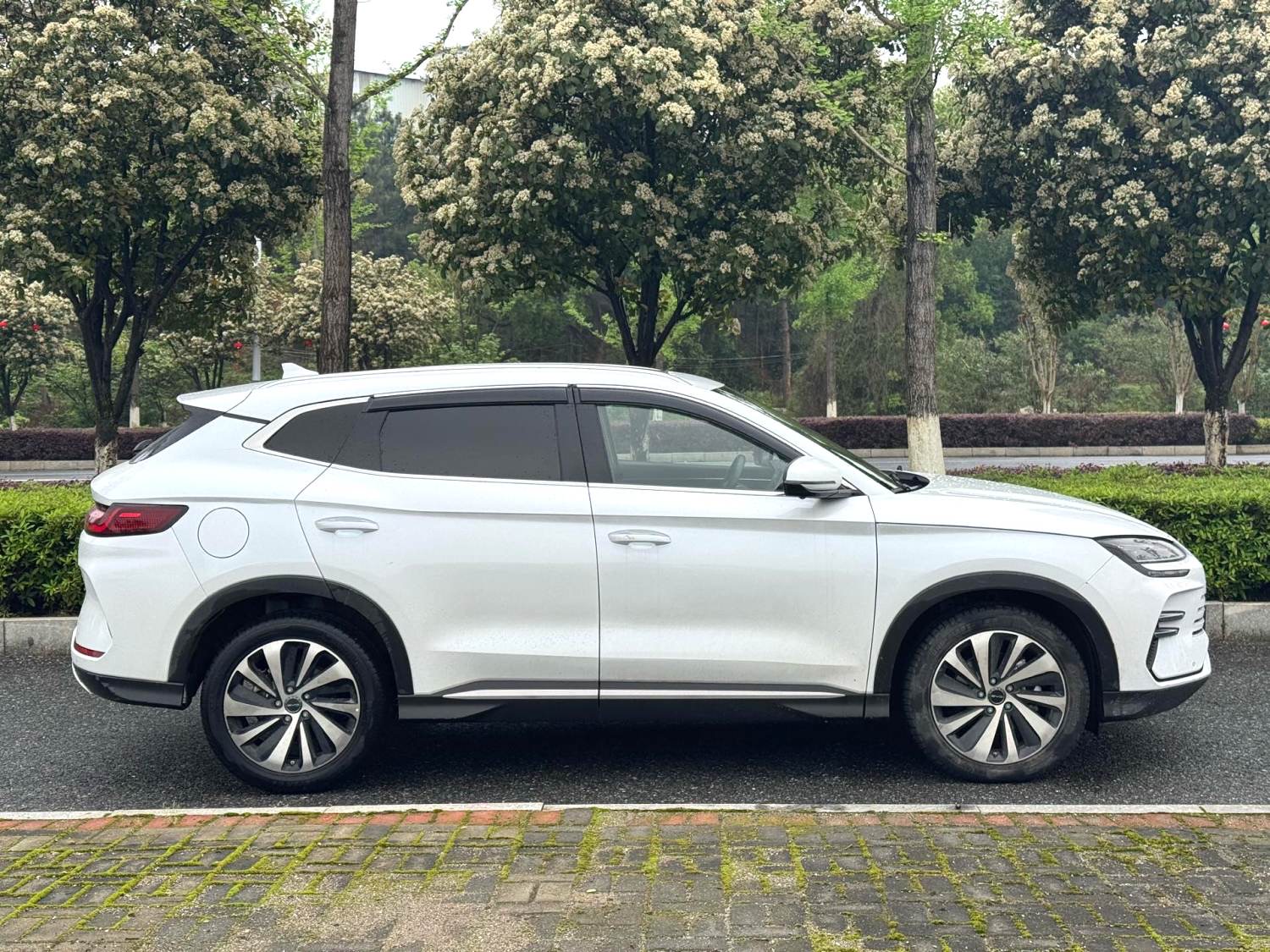 宋 PLUS New Energy Model Year 荣耀版 DM i 110km 旗舰 PLUS