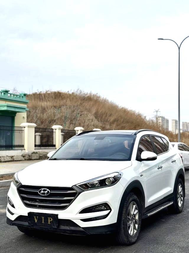 Hyundai 1.6T 2WD