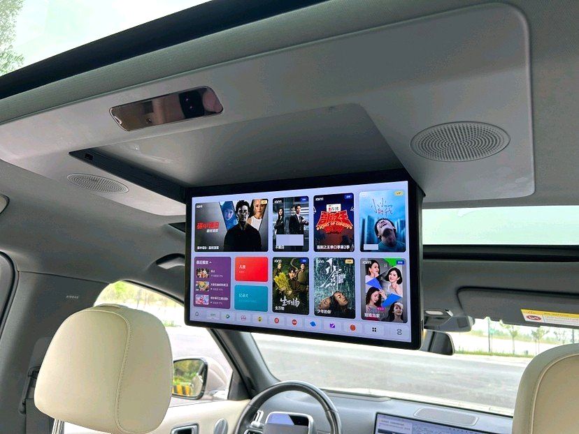 Li Auto L (Liter) 9 Pro