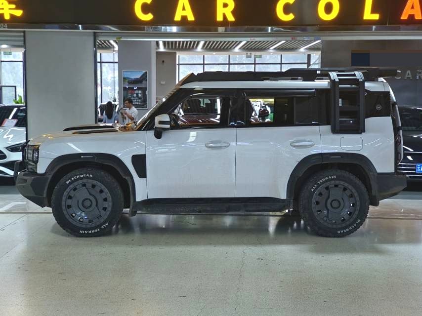 捷途旅行者 Model Year 2.0T 四驱银龙之翼