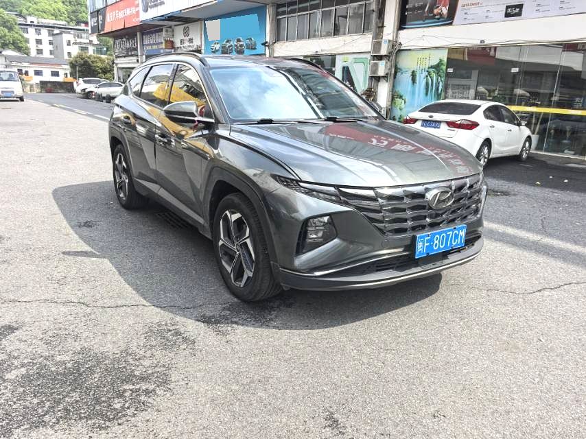 途胜 Model Year 途胜 L (Liter) 1.5T 自动两驱 LUX N Line 尊贵版