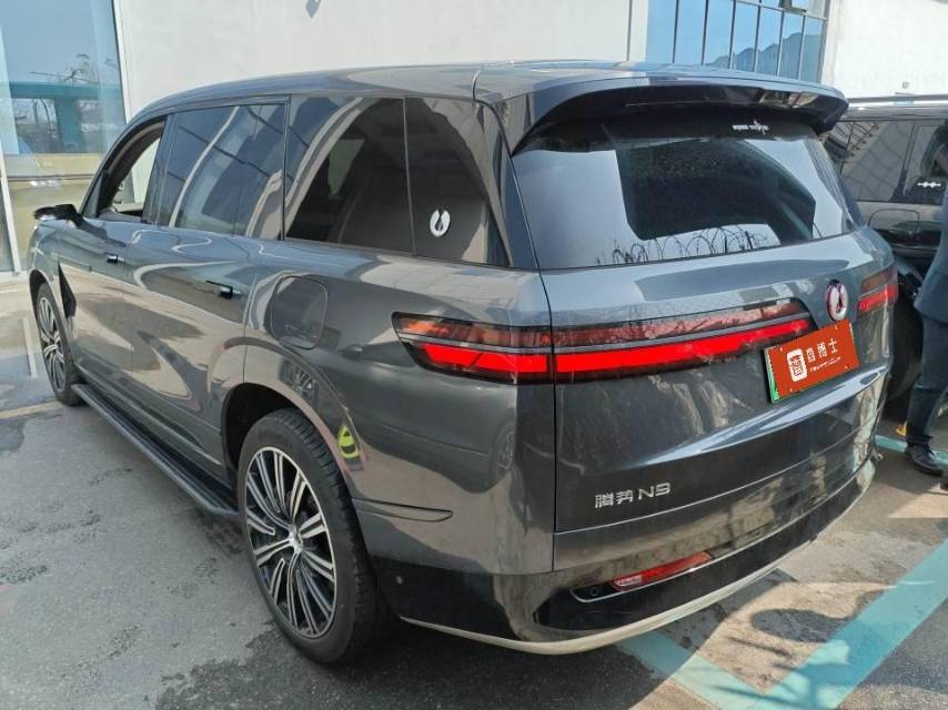 Denza N 9 Flagship